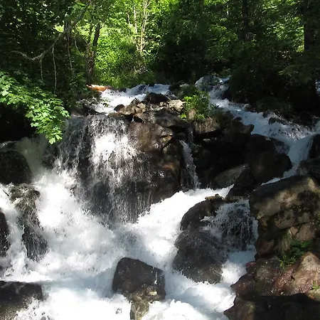 Cervino Valley House Rododendro *